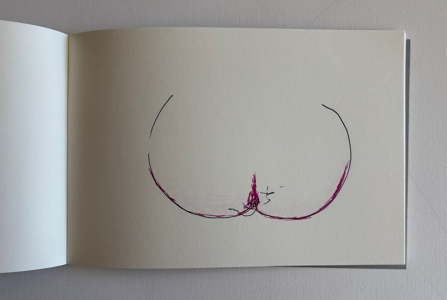 CAHIER DES DÉBORDEMENTS. Coloriages ob-scènes. (LIMITED, NUMBERED EDITION)