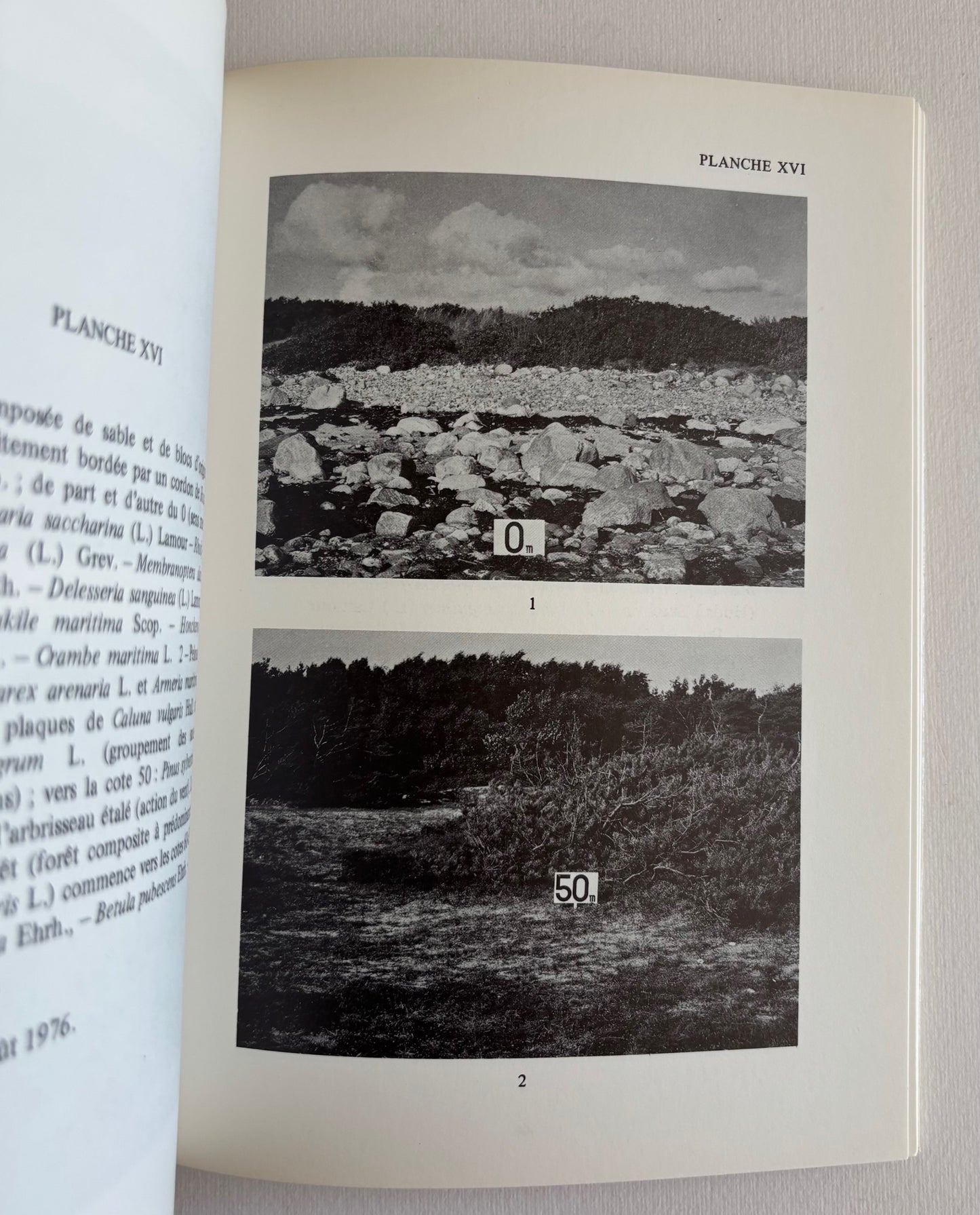 De quelques lisières. Prolégomènes à un essai de définition de la notion d’écotone.