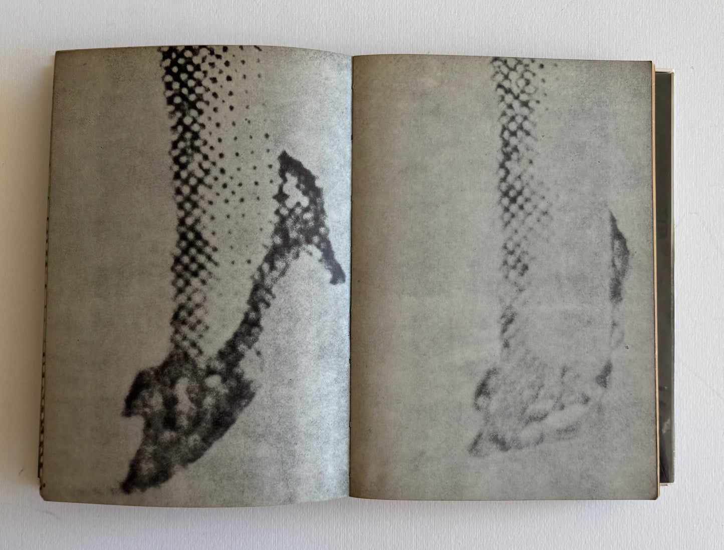 Mazu Tashikarashisha no Sekai o Sutero (“First Abandon the World of Certainty”) (PROVOKE 4 & 5).