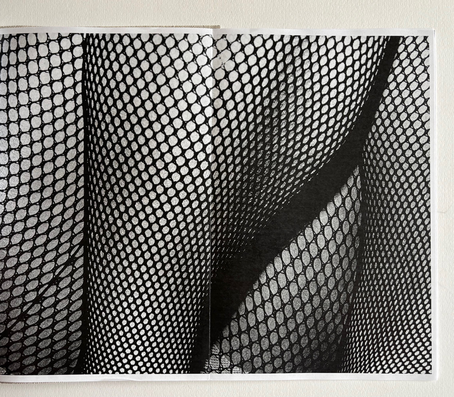 TIGHTS IN SHIMOTAKAIDO. (SIGNED)