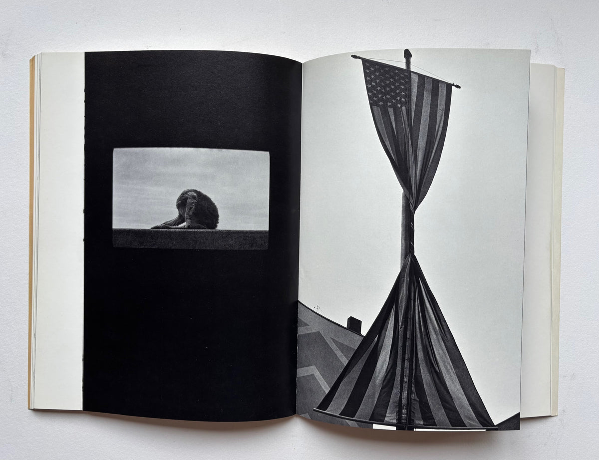 DAWID.